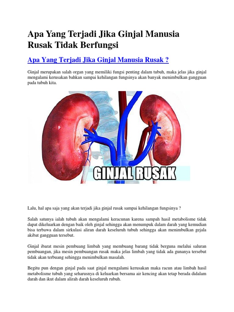 Download 440 Koleksi Gambar Ginjal Manusia Yg Rusak Terbaru Gratis HD