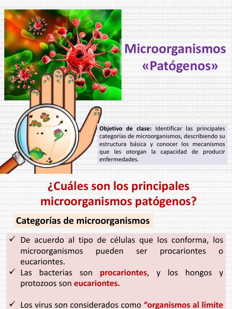Microorganismos 1 | PDF | Virus | Las bacterias