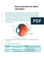 indera penglihatan laporan faal