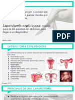 Laparotomia