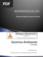 Biorremediação Power Point