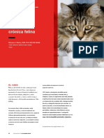 cr_feline-chronic-enteropathy-43051-article.en.es.pdf