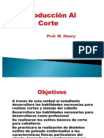 Apuntes IntroduccionCorte PP PDF