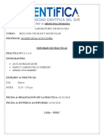 Informe Laboratorio 8910-2