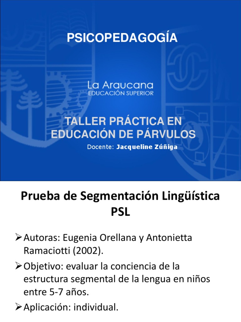 Prueba de Segmentación Lingüística (PSL) | PDF
