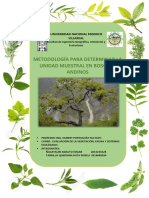 Metodología Para Determinar La Unidad Muestral en Bosques Andinos