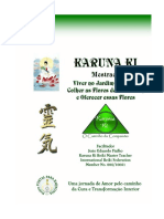 reiki - karuna-ki-3.pdf