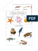 Animales Vertebrados