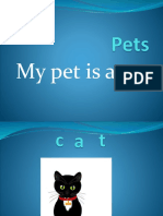 Pets