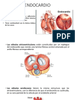 Endocardio