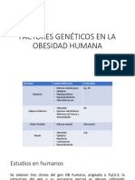 Factores Genéticos en La Obesidad Humana