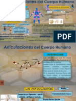 Articulaciones Del Cuerpo Humano