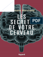 Stephane Marchand - Les Secrets de Votre Cerveau