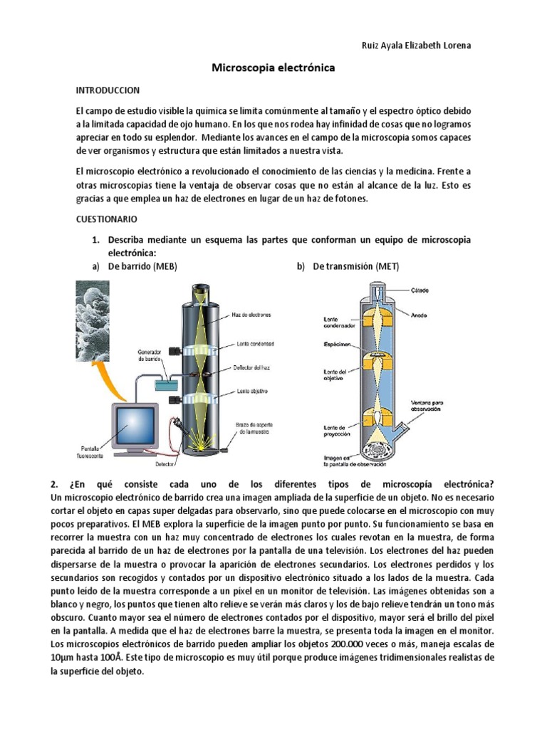 Microscopia Electronica Descargar Gratis Pdf Microscópio