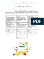 Photosynthesis Tic-Tac-Toe Board