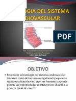 Sistema Cardiovascular