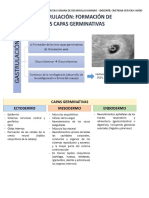 Material Tercera Semana