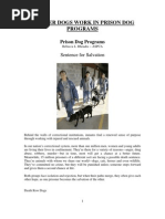 Animalogy Dogs and Other Canids | PDF | Bichon | Dogs