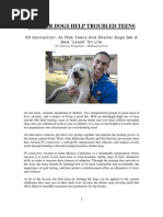 Shelter Dogs Help Troubled Teens