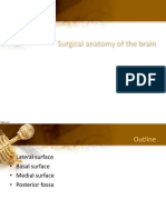 Surgical Anatomy of The Brain