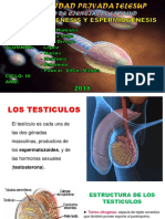 Histologia 03 Ver