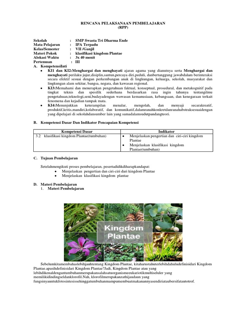 Rpp Plantae Tumbuhan