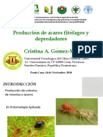 Conferencia Técnica de Cristina Gomez
