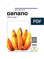 Descriptores Del Banano