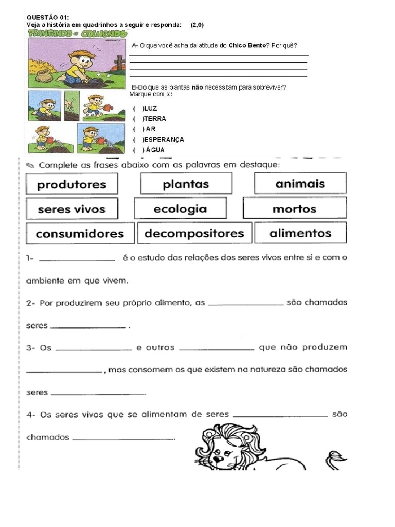 Atividades Adaptadas de Ciências | PDF
