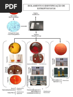 Diretrizes Lab Saude