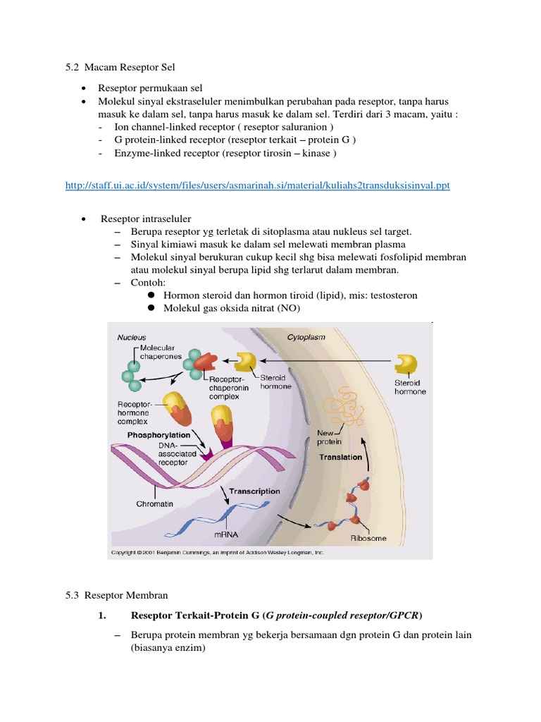 Macam Reseptor | PDF