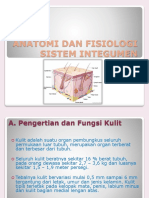 Anatomi Fisiologi Kulit Nadhver