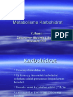 Metabolisme Karbohidrat