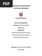 Informe de Bioquimica