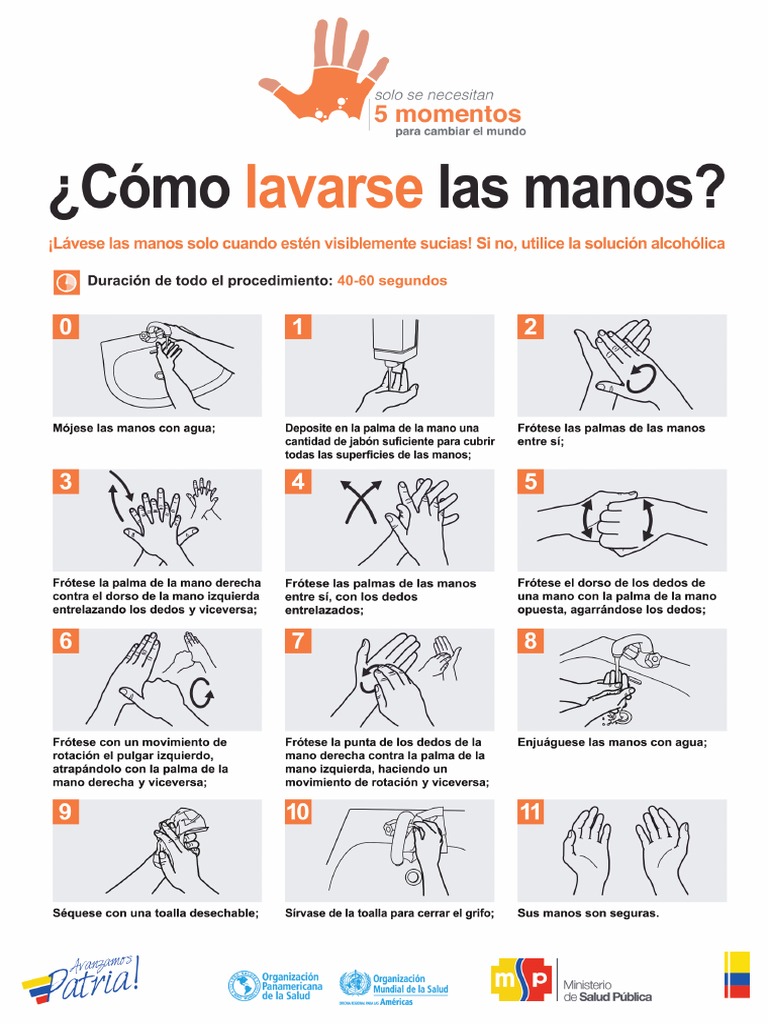 Manual Técnico de Referencia para La Higiene de Las Manos OMS | PDF