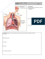 Respiratorio H1