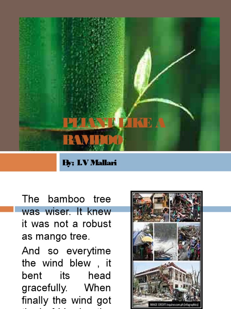 Pliant Like A Bamboo PDF