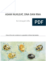 Asam Nukleat - Dna Dan Rna2012