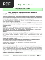 FT4-Explicacao Casos Evolucionismo