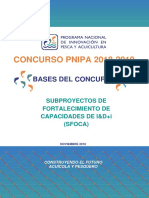 Bases Concurso PNIPA - 2018-2019 SFOCA