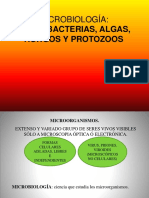 16. Microbiología.ppsx