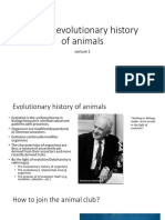 A Brief Evolutionary History of Animals