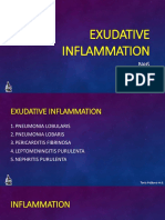 Pathology INFLAMATION 1