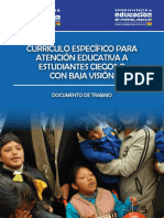 2012 CURRICULO ESPECIFICO EST CIEGOS.pdf