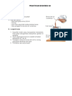 Praktikum Biologi Ekskresi G9