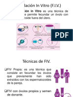 Fecundación in Vitro.