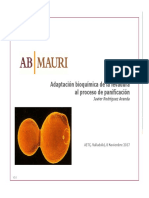 Levaduras Adaptación Bioquímica de La Levadura Al Proceso de Panificación - Javier Rodríguez. AB MAURI PDF