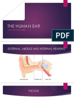 The Human Ear