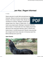 14 Jenis Ayam Hias