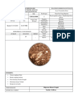 Laporan Foraminifera Besar